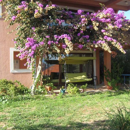 Apartman Lavanda Kali Exterior photo